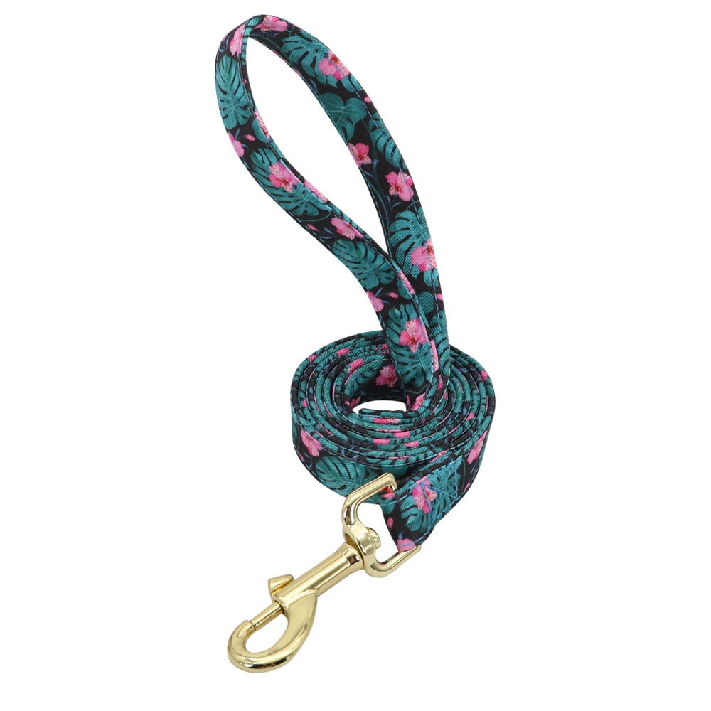 Personalized Dog/Cat Collar With Optional Matching Leash