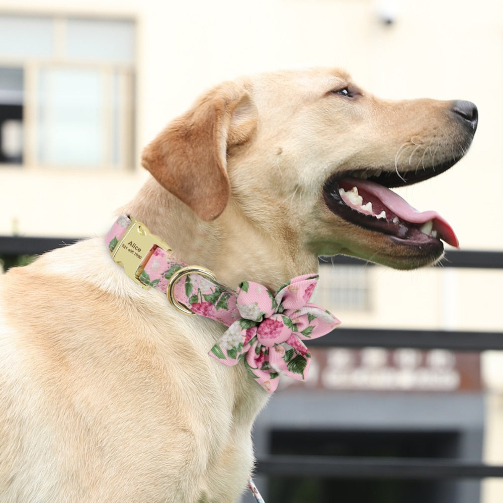 Personalized Dog/Cat Collar With Optional Matching Leash