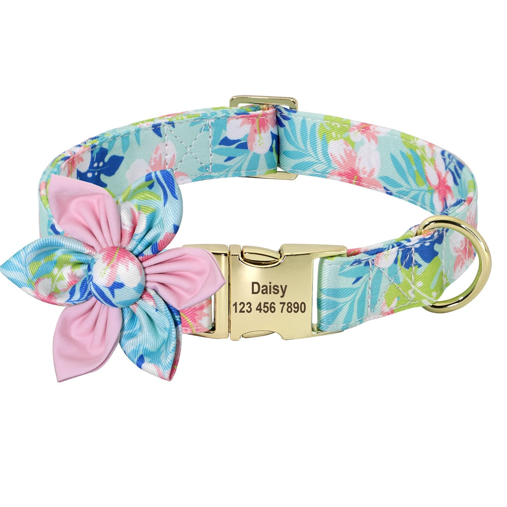 Personalized Dog/Cat Collar With Optional Matching Leash