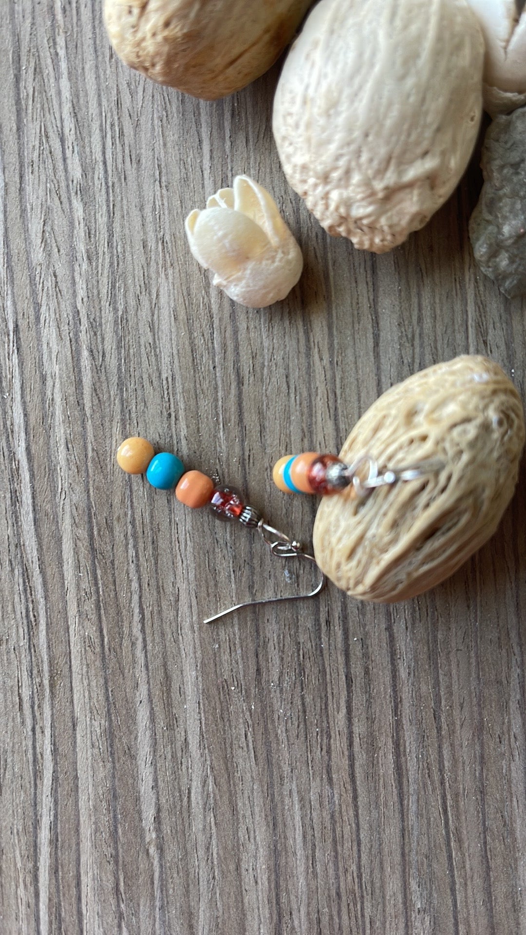 DREAMSICLE Collection