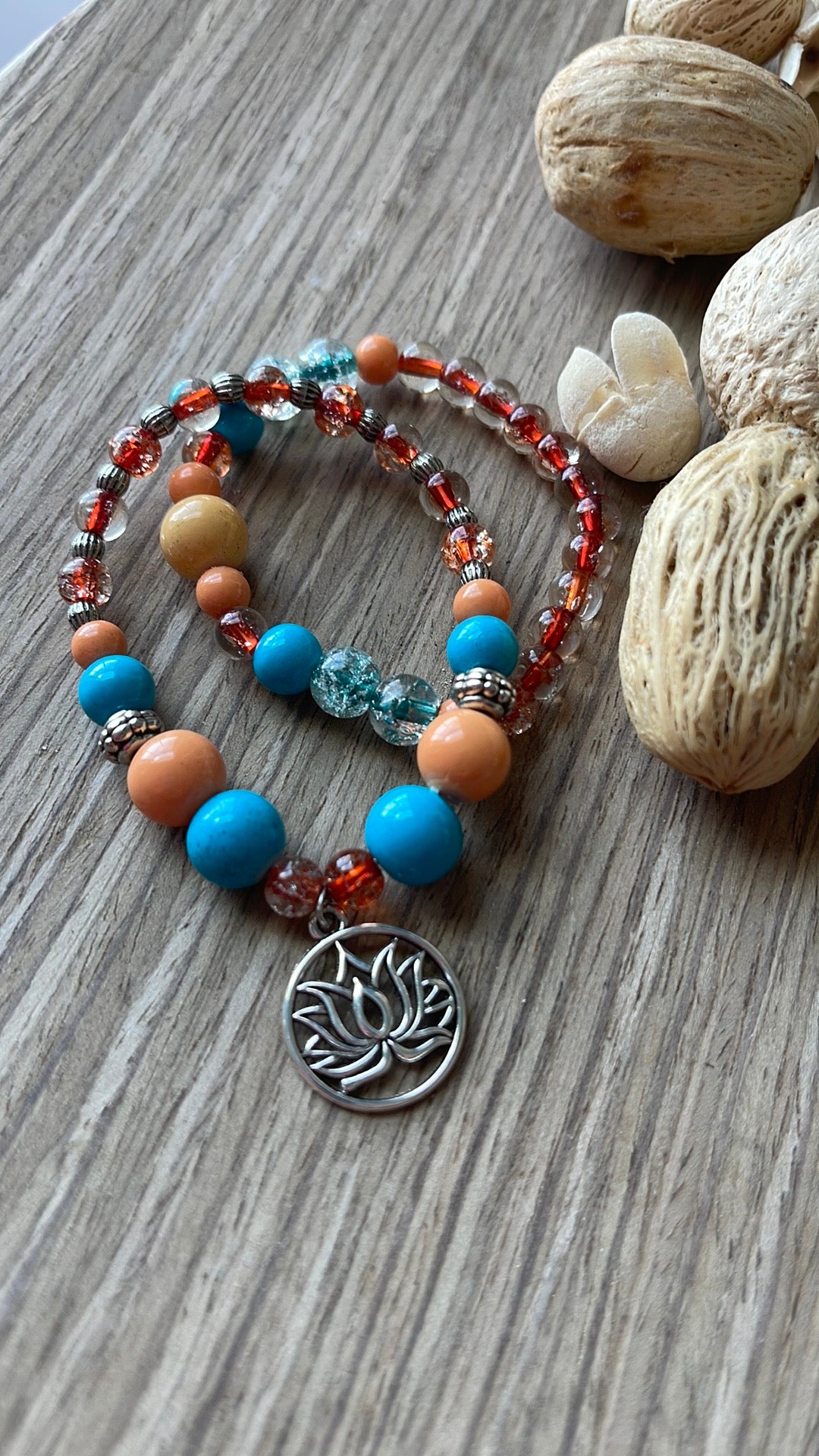 DREAMSICLE Collection