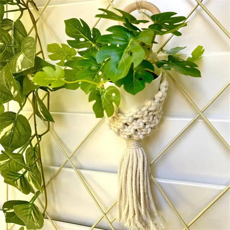 Macrame Wall Hanging Plant Holder