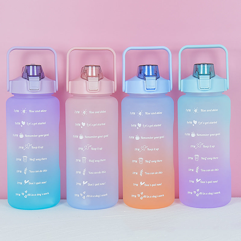 Track Your Water Progress Frosted Bottle