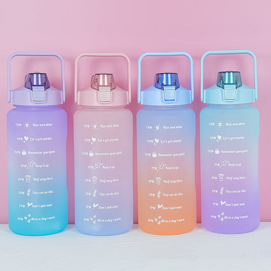 Track Your Water Progress Frosted Bottle